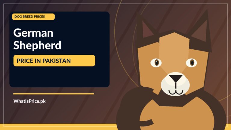 Featured image for Pakistan price information article