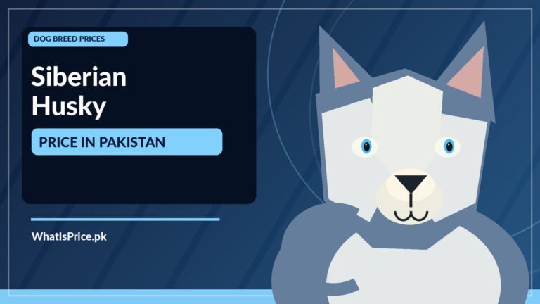 Featured image for Pakistan price information article