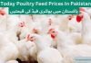 Chicken Poultry Feed Price List in Pakistan Today 2025 National feed Rate List, Islamabad poultry feed Rate Today, Feed Rate in Pakistan Today