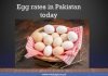 Egg rates in Pakistan today December 22, 2025 Egg price Egg rates in Pakistan