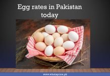 Egg rates in Pakistan today December 22, 2025 Egg price Egg rates in Pakistan